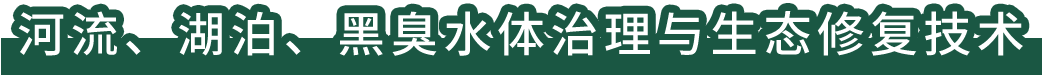 河流、湖泊、黑臭水體治理與生態(tài)修復(fù)技術(shù)
