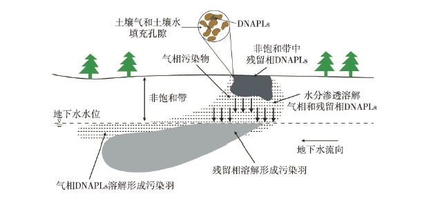 DNAPLs泄漏至地表后，受到重力作用向下遷移